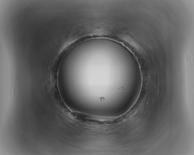 X0000112151160200908071110
