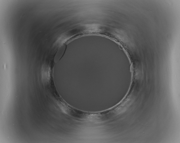 X0000112151161200908071110