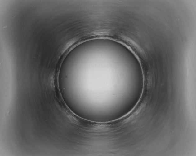 X0000112151162200908071110