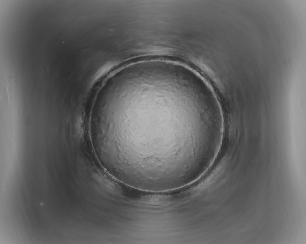 X0000112151163200908071110