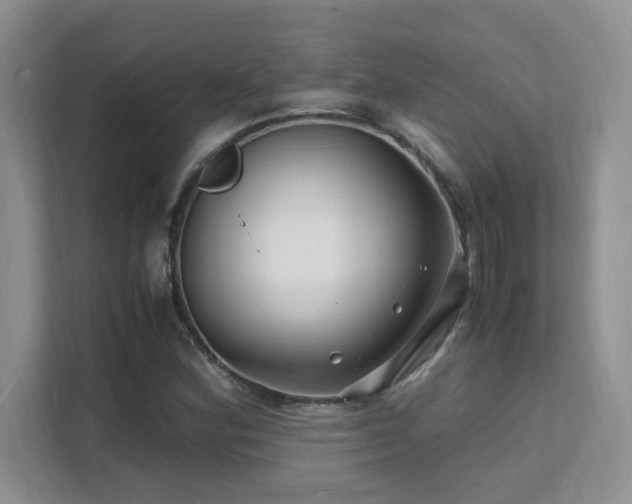 X0000112151164200908071110