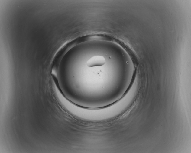 X0000112151165200908071110