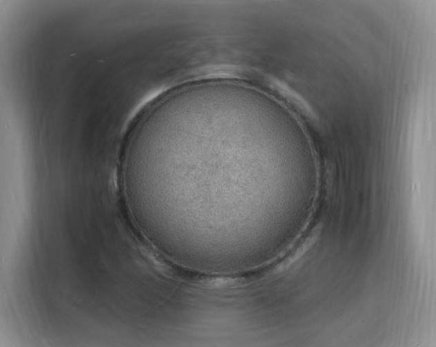 X0000112151166200908071110