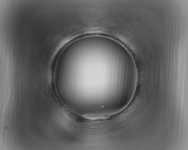 X0000112151167200908071110