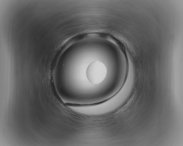 X0000112151169200908071110