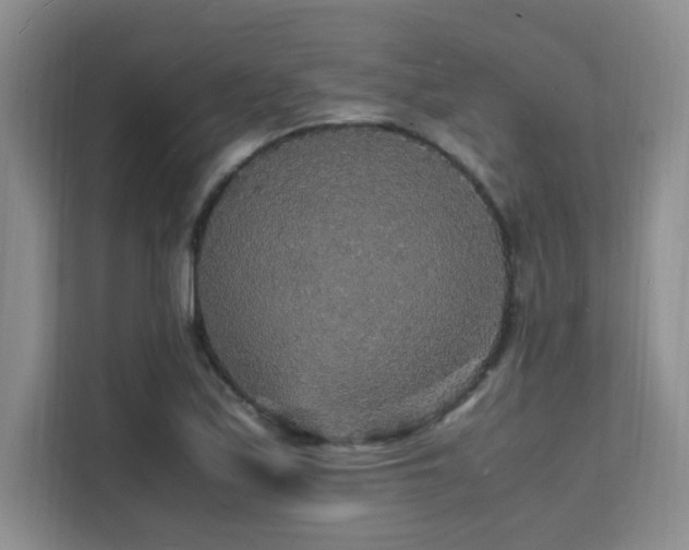X0000112151171200908071110