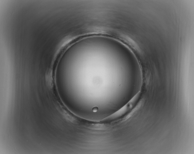 X0000112151172200908071110