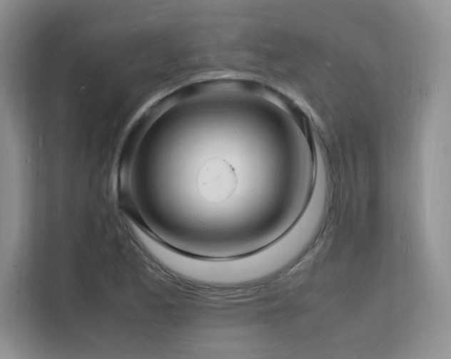 X0000112151173200908071110