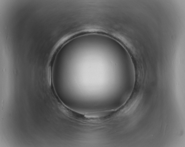 X0000112151175200908071110