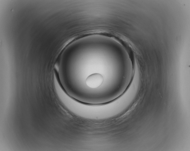 X0000112151177200908071110