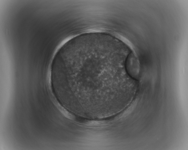 X0000112151179200908071110