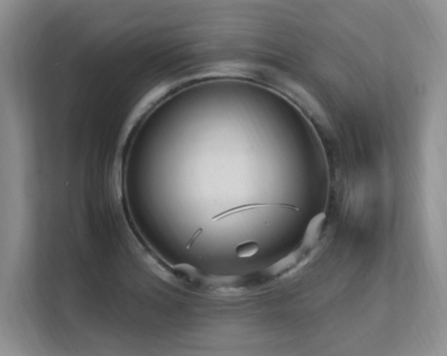 X0000112151180200908071110