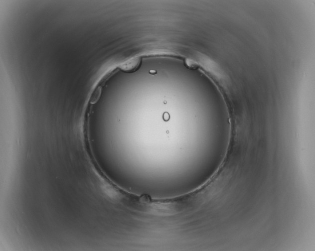 X0000112151181200908071110