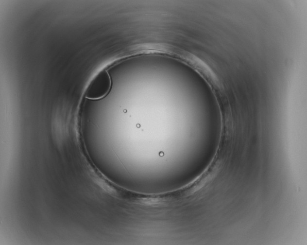 X0000112151182200908071110