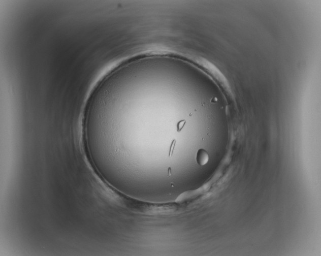 X0000112151183200908071110