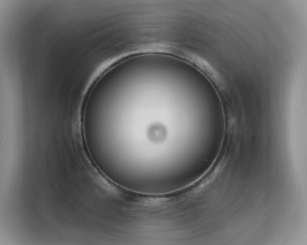 X0000112151184200908071110