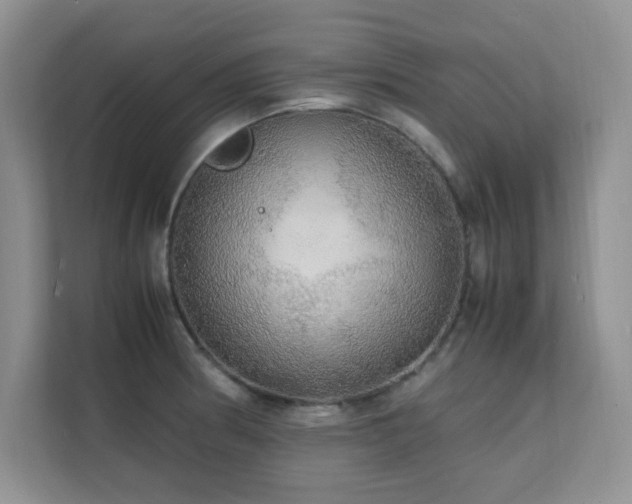 X0000112151186200908071110