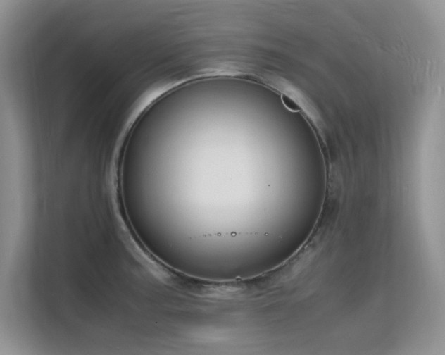 X0000112151187200908071110