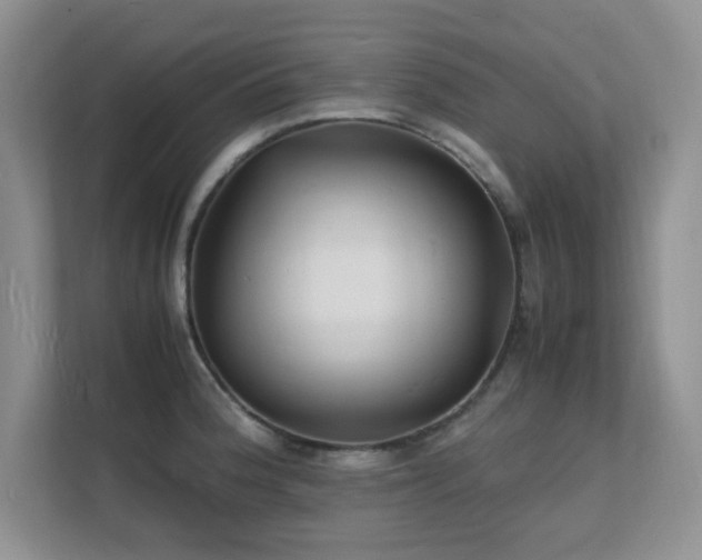 X0000112151188200908071110