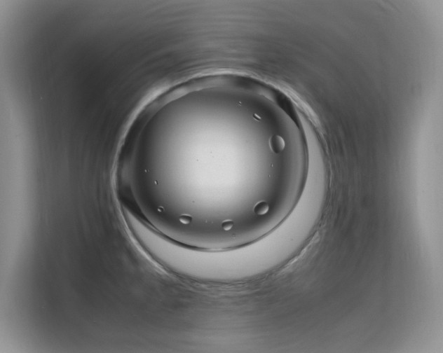 X0000112151189200908071110