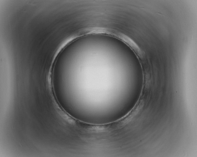 X0000112151190200908071110