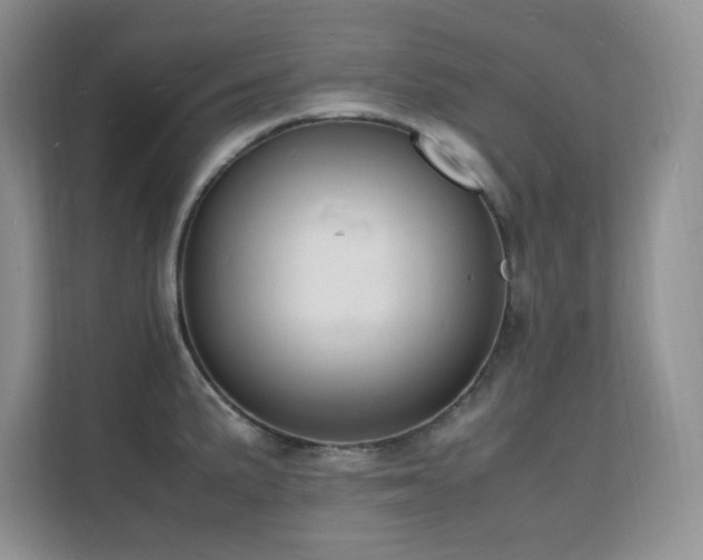 X0000112151191200908071110