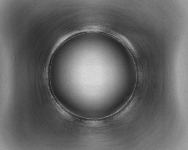 X0000112151192200908071110