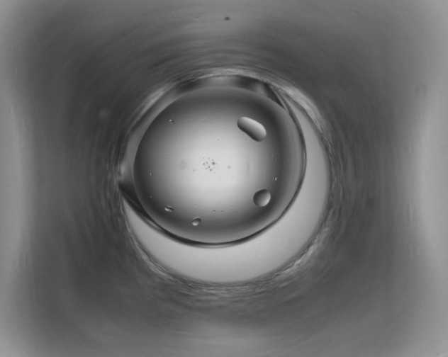 X0000112151193200908071110