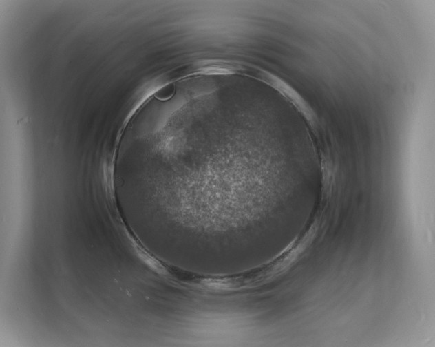 X0000112151194200908071110
