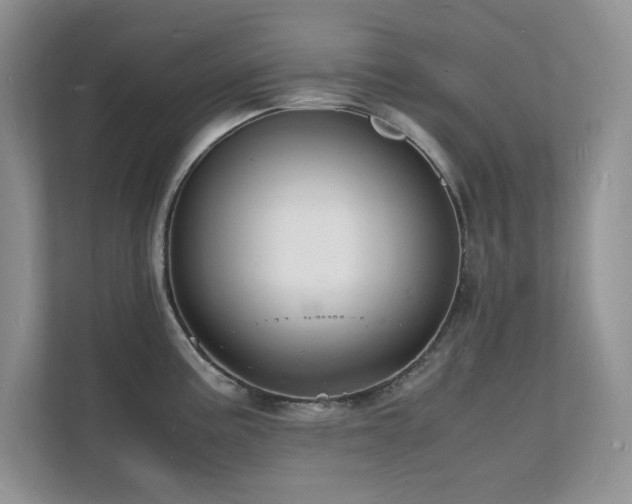 X0000112151195200908071110