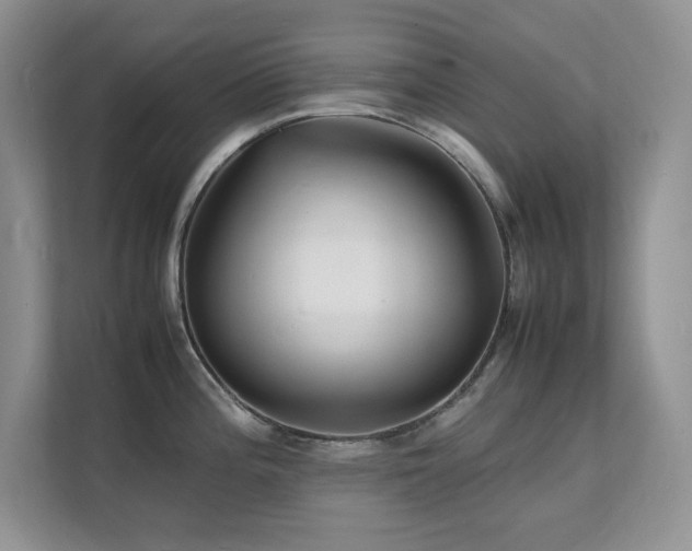 X0000112151196200908071110