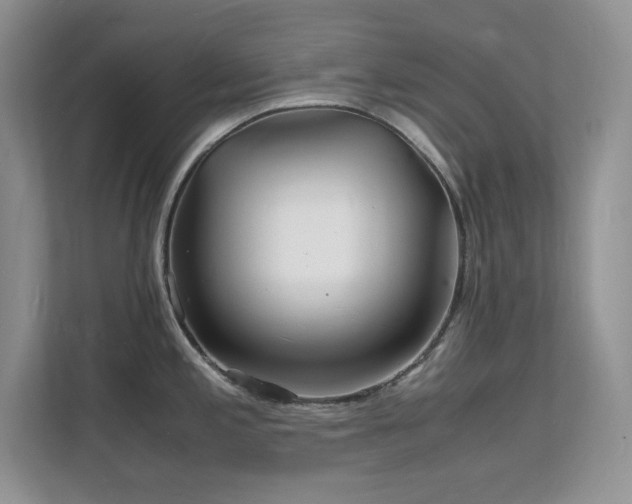 X0000112151197200908071110