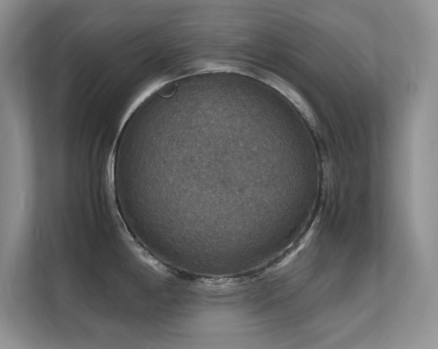 X0000112151198200908071110