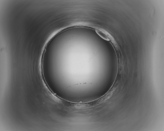 X0000112151199200908071110