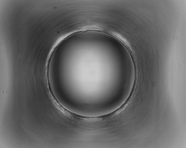 X0000112151200200908071110