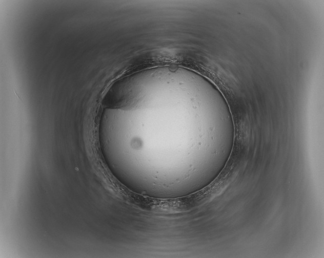 X0000112151201200908071109
