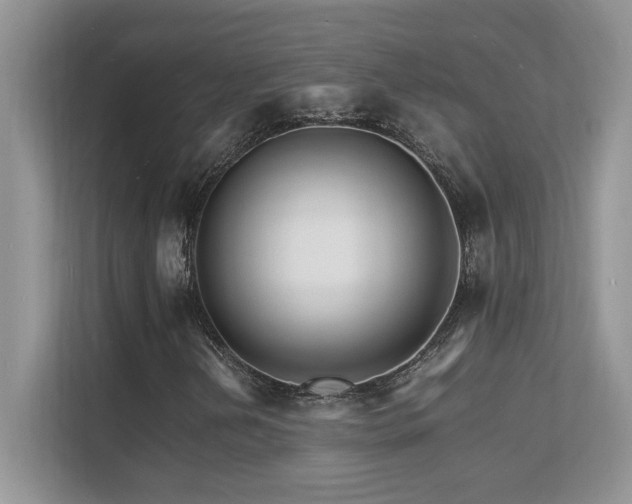 X0000112151202200908071109