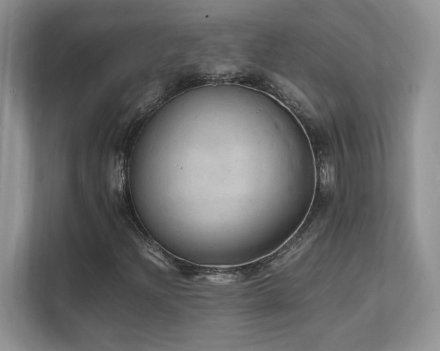 X0000112151204200908071109