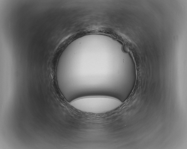 X0000112151206200908071109