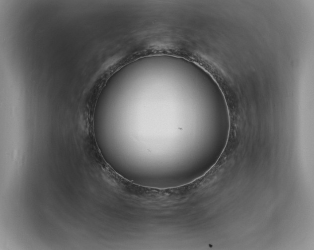 X0000112151207200908071109