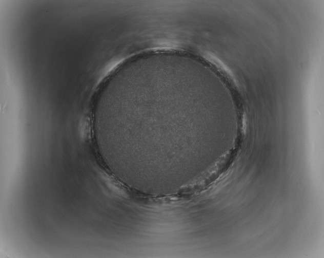 X0000112151208200908071109