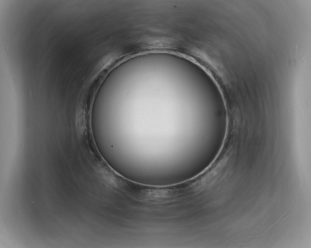 X0000112151211200908071109