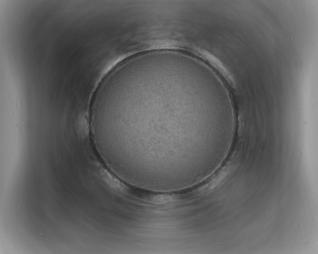 X0000112151212200908071109