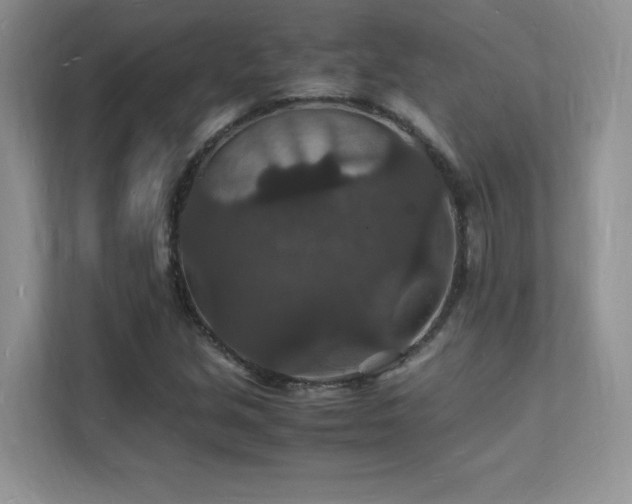X0000112151213200908071109
