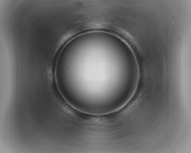 X0000112151218200908071109