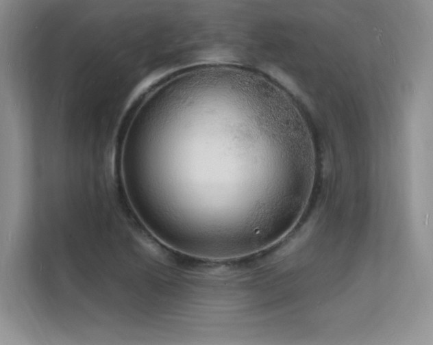 X0000112151222200908071109