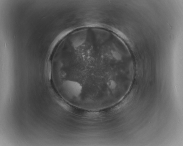 X0000112151223200908071109