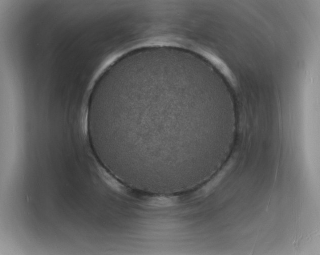 X0000112151224200908071109