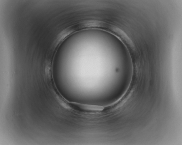 X0000112151225200908071109