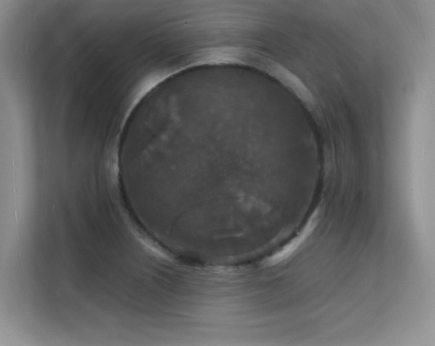 X0000112151226200908071109